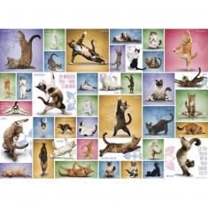 1000 Teile Puzzle: Katzenyoga