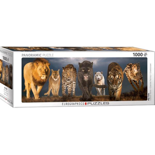 1000 piece puzzle panoramic : Big Cats - EuroG-6010-0297