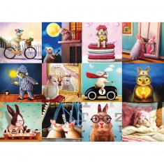 1000 piece puzzle : Funny Bunnies