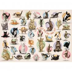 500 piece XL puzzle: Kitten yoga