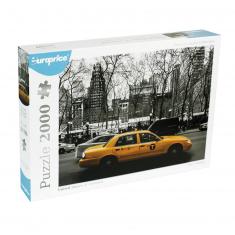 2000 pieces puzzle : Monochromatic Collection : USA 