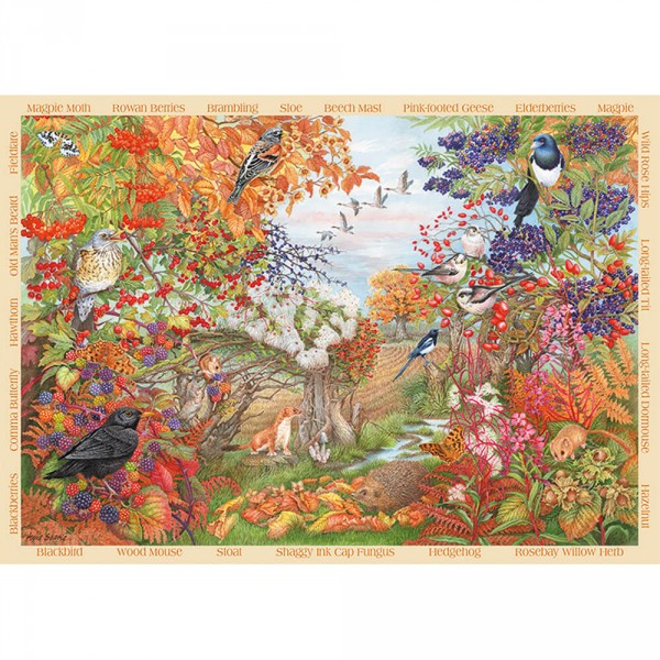 Puzzle 500 pièces : Végétation d'automne - Diset-11270