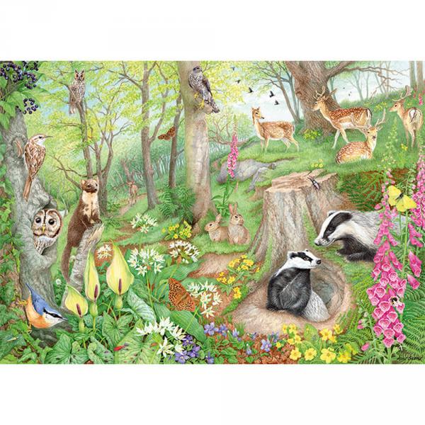 Puzzle mit 1000 Teilen : Woodland Wildlife  - Diset-11322