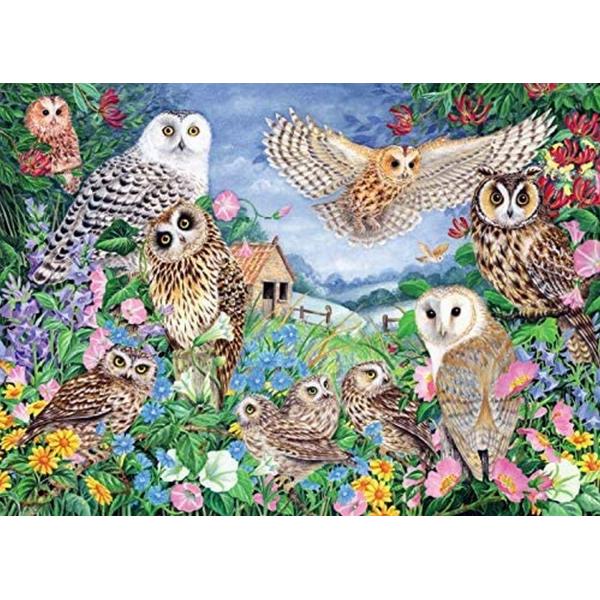 1000 pieces puzzle: Owls in the woods - Diset-11286