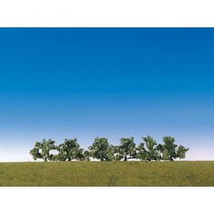 Modellbau: Vegetation: 6 Büsche mit weißen Blüten