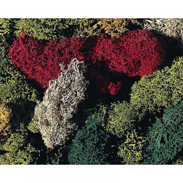 Modélisme : Végétation : Lichen 5 couleurs - Faller-170730