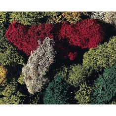Model making: Vegetation: Green lichen