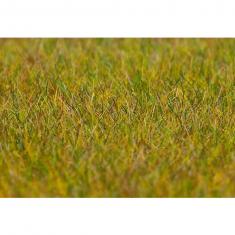 Modélisme : Végétation : Fibres de flocage premium, Prairie, vert clair