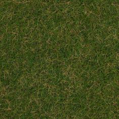 Model HO, N, TT: wild grass flocking fibre, summer meadow