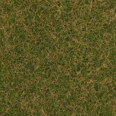 Model HO, N, TT: Wild grass flocking fibre, green-brown