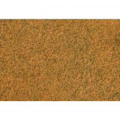 Modeling : Vegetation : Flock fibres, Wild grass, Dry meadow