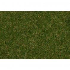 Modeling : Vegetation : Flock fibres, Wild grass, Summer meadow