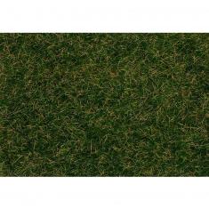 Modeling : Vegetation : Flocking fibers, Wild grass, dark green