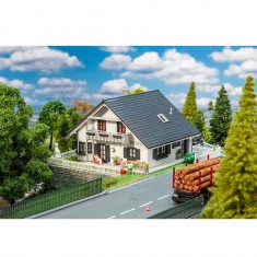 HO model: Renovated detached house