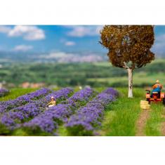 HO-Modellbau: Lavendelfeld