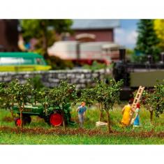 HO-Modellbau: 10 kleine Apfelbäume mit Früchten.