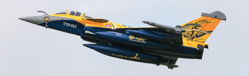 Rafale Dassault EDF 80mm PNP