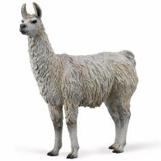 Figura La Granja (M): Llama