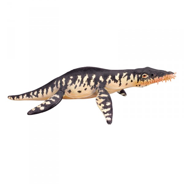 Figura de dinosaurio: Liopleurodon - Collecta-COL88237