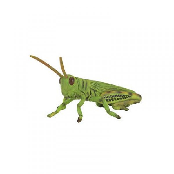 Figura de insecto: saltamontes - Collecta-COL88352