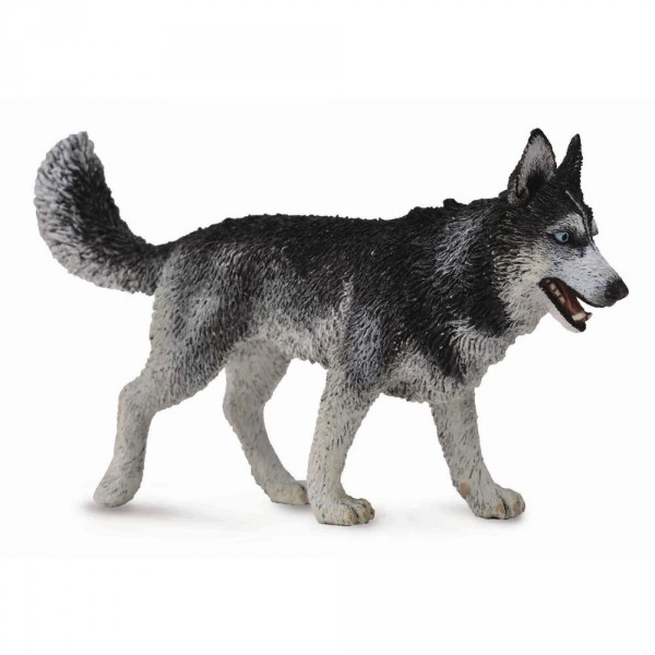 Figura de perro: Husky siberiano - Collecta-COL88707