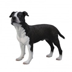 Figura de perro: Staffordshire Terrier americano