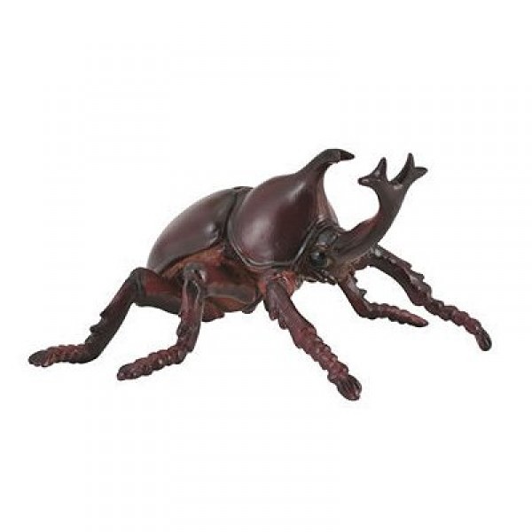 Insecto - Escarabajo Nasicorn - Collecta-COL88337