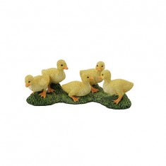 Pato - Patitos