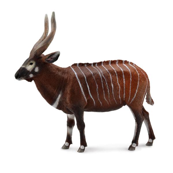 Figura Animales Salvajes (XL): Bongo - Collecta-COL88809