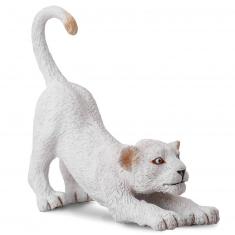 Figura de animales salvajes: Cachorro de león blanco estirado