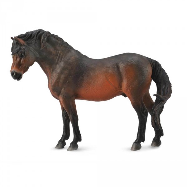 Figura de caballo: Dartmoor Pony Bai - Collecta-COL88604