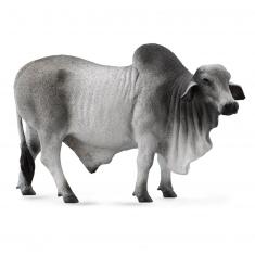 Figura La Ferme (L): Toro brahmán