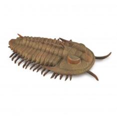 Figurilla de Prehistoria (L): Redlichia Rex Trilobite