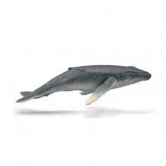  Figura de animal marino (M): cría de ballena jorobada