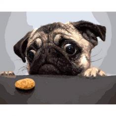 Paint by numbers Pug Dog - without frame