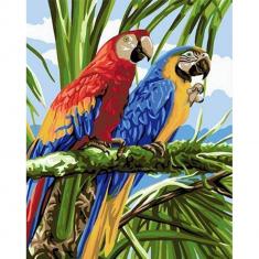 Paint by numbers Parrots in the Tropics - without frame