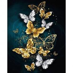 Paint by numbers Fairy Butterflies - without frame