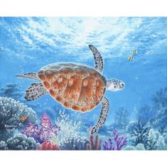 Paint by numbers Turtle - already stretched on a wooden frame