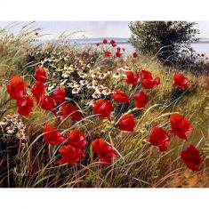 Paint by numbers Wild flowers in the countryside - without frame