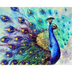 Paint by numbers Colorful Peacock - without frame
