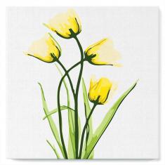 Mini peinture au numéro : Jolies Fleurs Jaunes  - toile tendue sur chassis