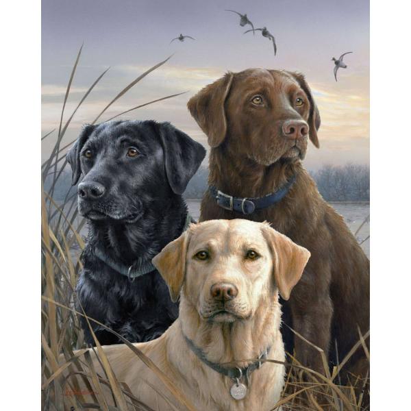 Peinture au numéro : Trio de labrador - toile tendue sur châssis - FiguredArt-FA10031-Y