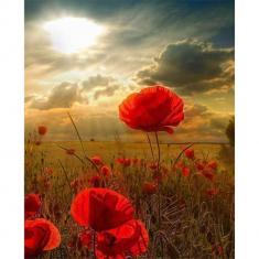 Malen nach Zahlen Blumen unter der Sonne - ohne Keilrahmen