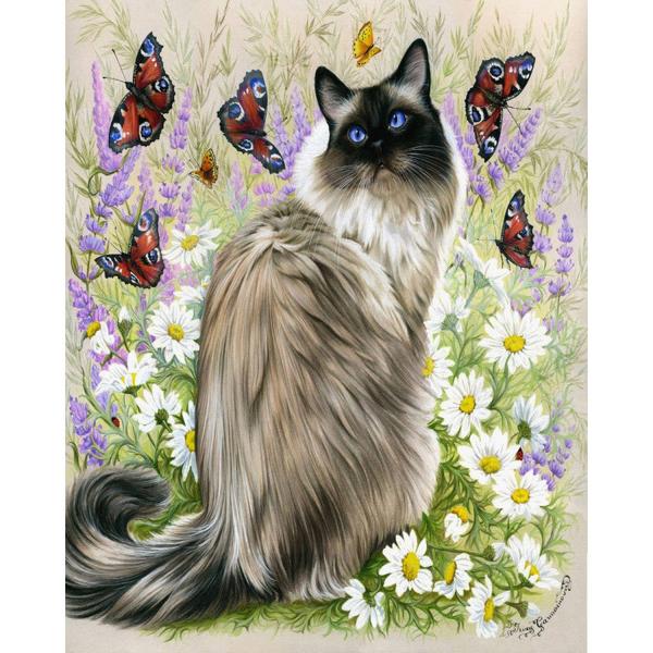 Malen nach Zahlen Katze und Schmetterlinge - ohne Keilrahmen - FiguredArt-FA10072