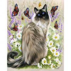 Paint by numbers Cat with Butterflies - without frame