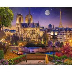 Paint by numbers Notre-Dame at night in Paris - already stretched on a wooden frame