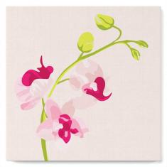 Mini Malen nach Zahlen - Orchideenzweig 2 - mit Rahmen