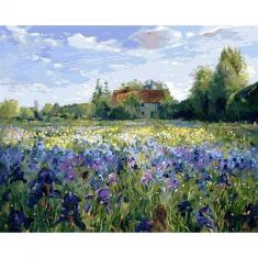 Paint by numbers Countryside field and Blue Flowers - without frame