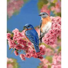 Paint by numbers Bluebirds - already stretched on a wooden frame
