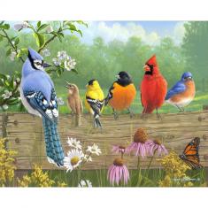Peinture au numéro : Oiseaux sur la barrière - toile tendue sur châssis